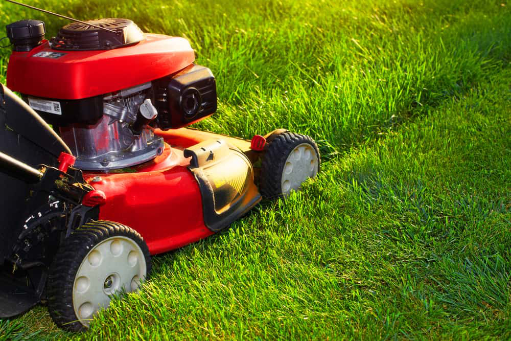 Lawn Mowing Camden